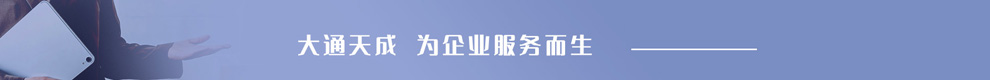 大通天成，為企業(yè)服務(wù)而生。