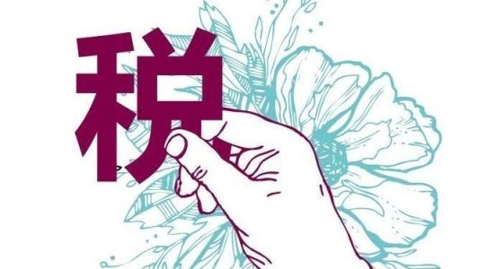 增值稅一般納稅人的認(rèn)定