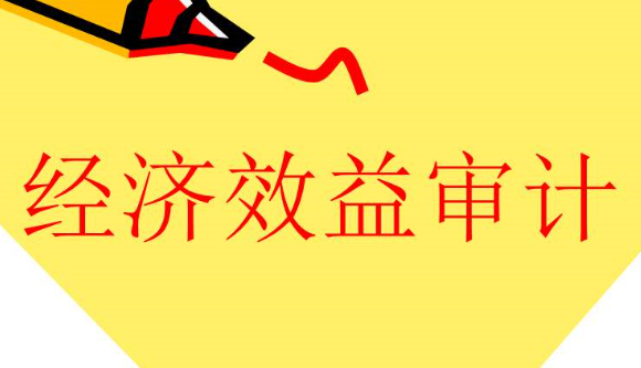 什么是經(jīng)濟效益審計，有何特點？