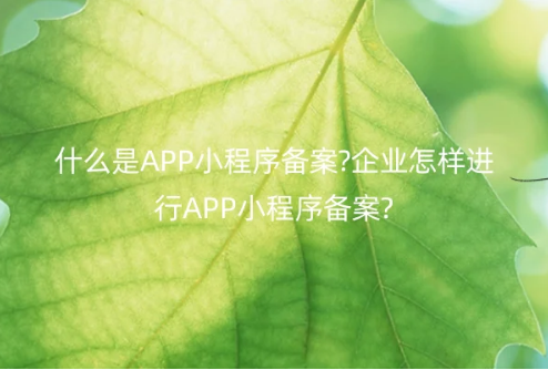 什么是APP小程序備案?企業(yè)怎樣進(jìn)行APP小程序備案?